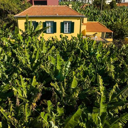 Casa D'Avo Celina Villa Funchal  Eksteriør billede