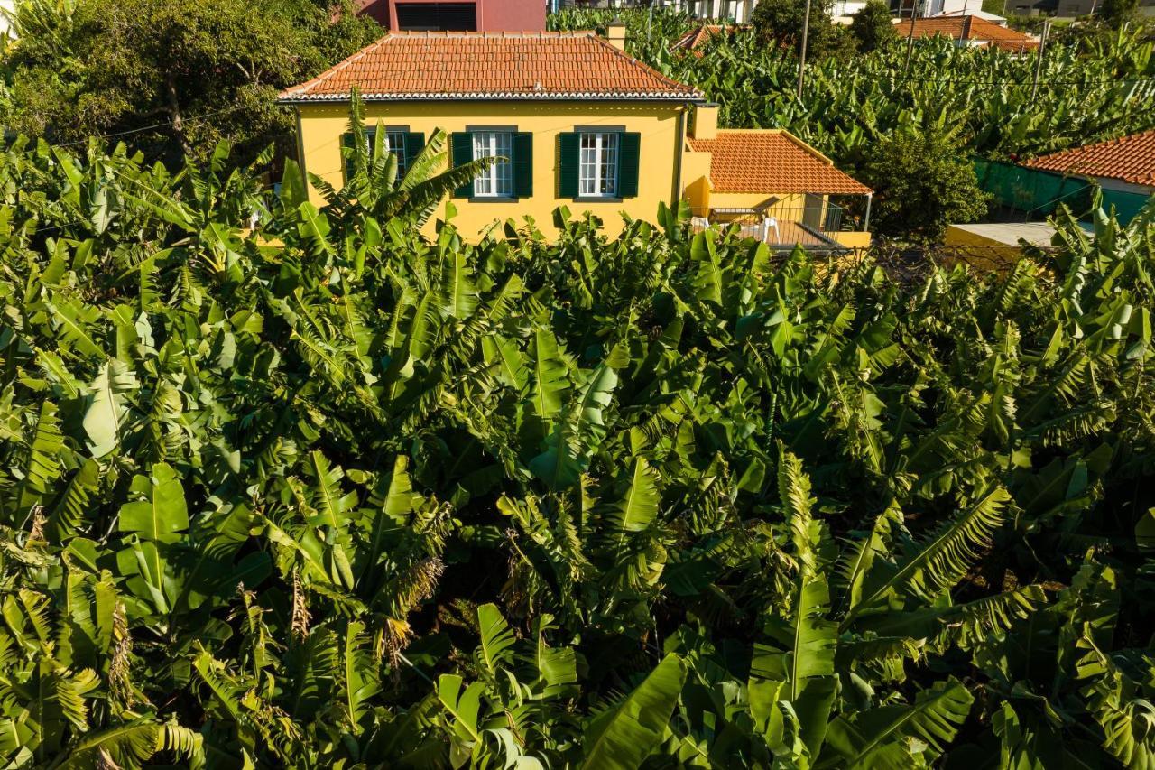 Casa D'Avo Celina Villa Funchal  Eksteriør billede