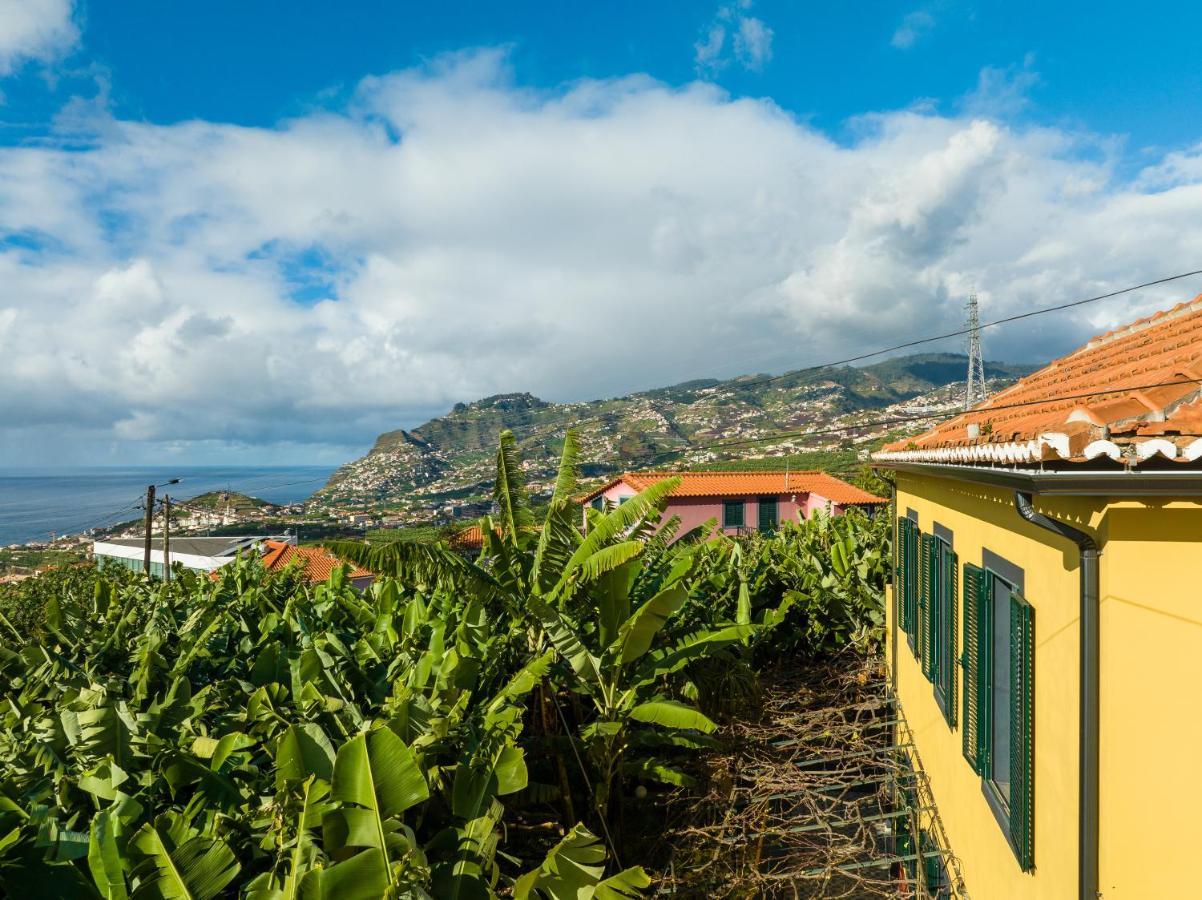 Casa D'Avo Celina Villa Funchal  Eksteriør billede